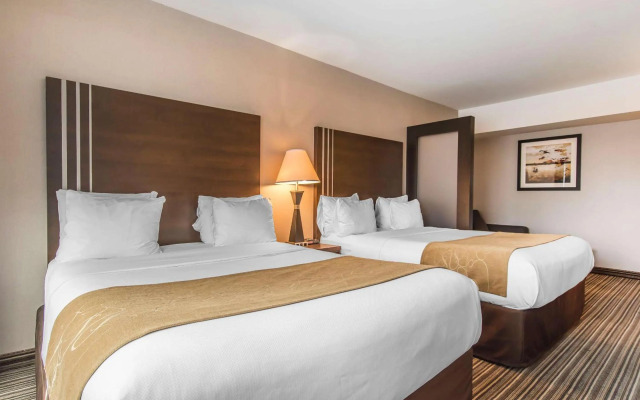 Comfort Suites Downtown