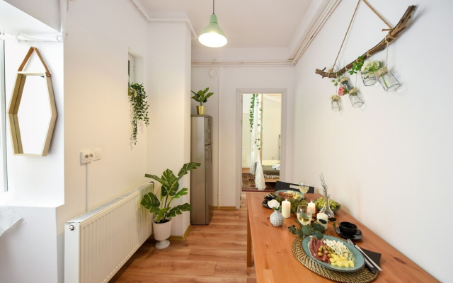 Homey - Strada Constantin Nacu 7