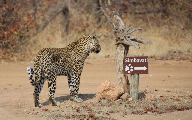 Simbavati River Lodge