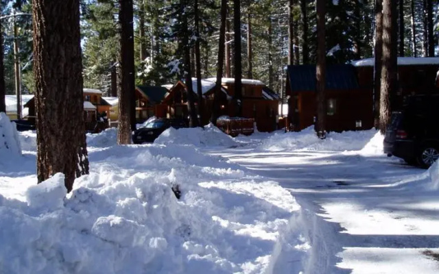 Knotty Pine Cabin