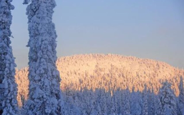 Mustalampi 4 Kyyhkynen Kuusamo