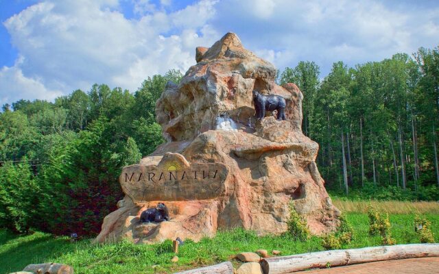 Pool Movie 1 Apartment 6