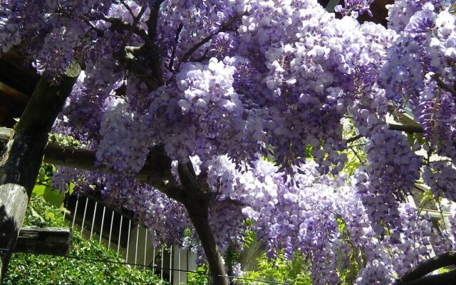 Albergo Casa Santo Stefano
