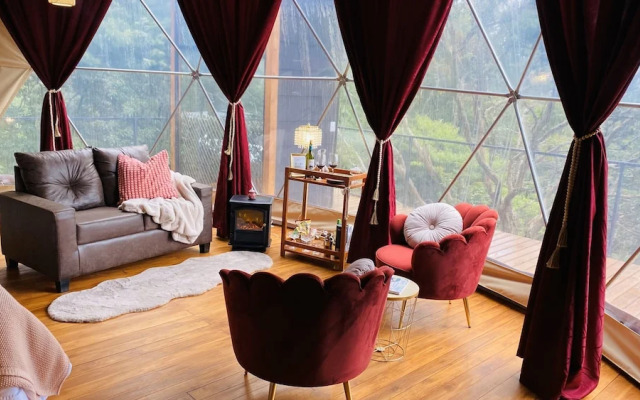 FéLIZA Rainforest Domes