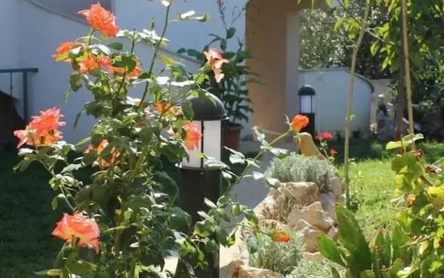 Ante - 50m From the sea - A1 Plavi