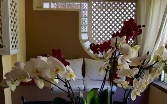 Sardegna Smeralda Suite