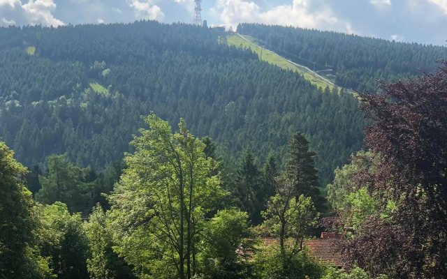 Berghotel Hahnenklee mit Ferienhaus