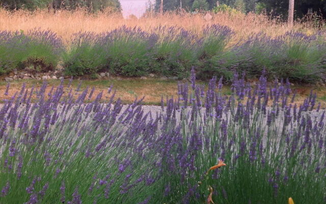 Auberge de Seattle, French Country Inn