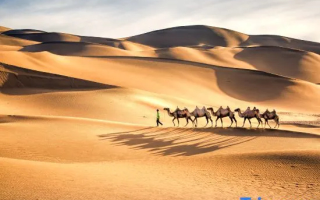 Zhongwei Mogang Starry Sky International Desert Campground