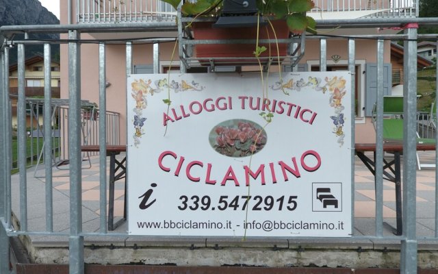 Alloggi Turistici Ciclamino