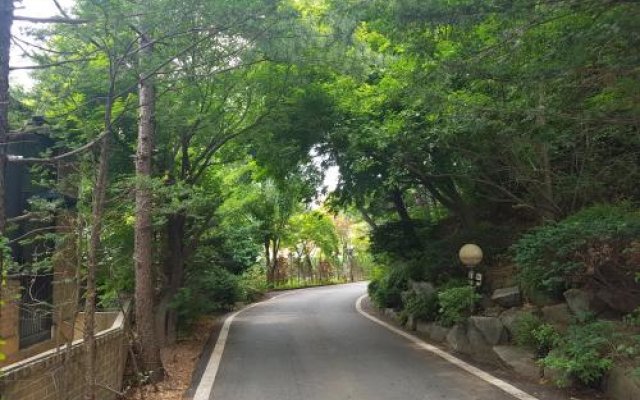 A well watered Garden