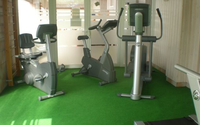 Hôtel Restaurant SPA Les Soldanelles