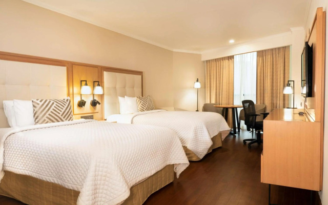 MS Milenium Monterrey, Curio Collection by Hilton
