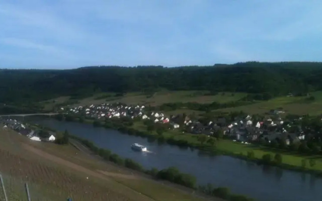 Traumhafte Wohnung mit Moselblick