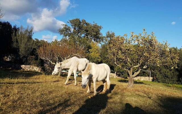 Modern Holiday Home in Porto-vecchio With Pool