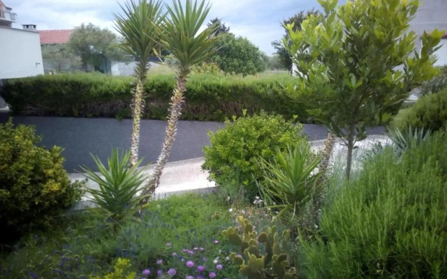 Apartments Dora Bibinje, 50 m from the sea