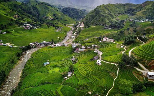 Eco Palms House - Sapa Retreat