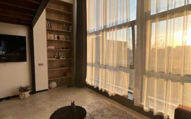 Huge modern flat in New town/Naujamiestis