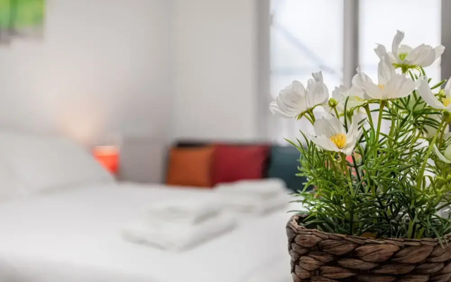 Studio Apartment  Central London