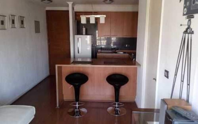 Deptos Amoblado en Providencia