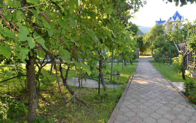 YurGa Guest House