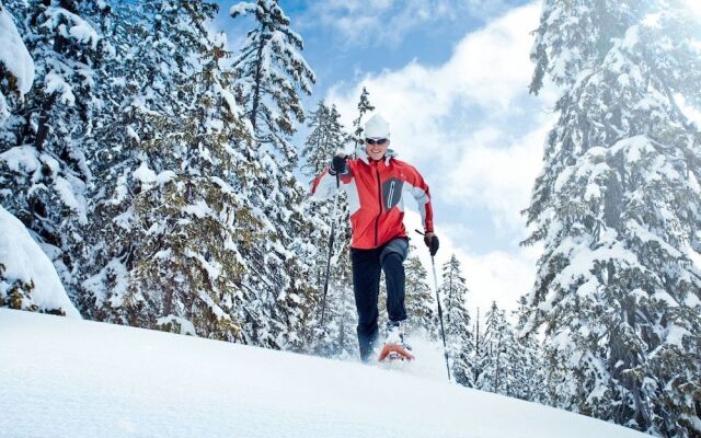 Holiday Home in ski Area in Leogang With Sauna