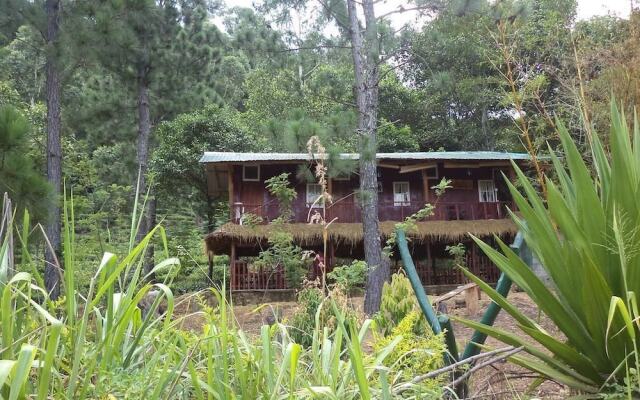 Hewaheta Hideaway