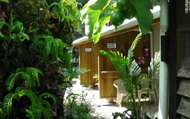 Gecko Lodge Fiji Private Hotel