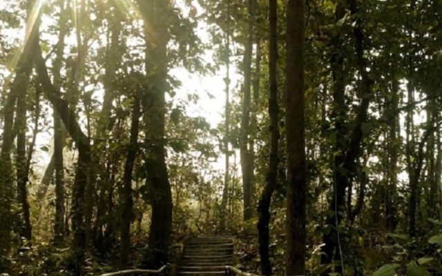 Asteya Kanha