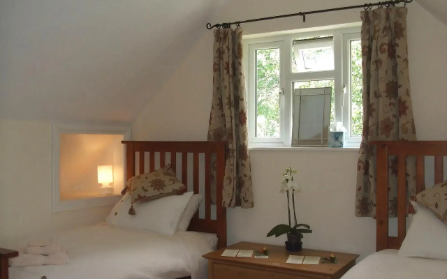 Tibbiwell Lodge - B&B