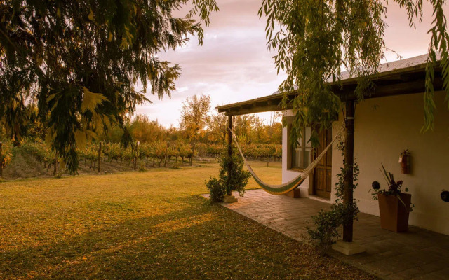 Postales by DOT Boutique