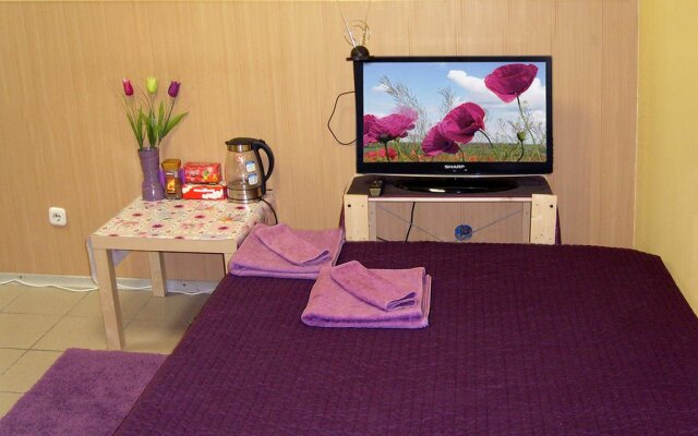 Mini-Hotel Palitra