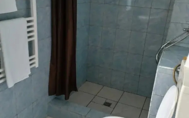 Vila Oltenilor