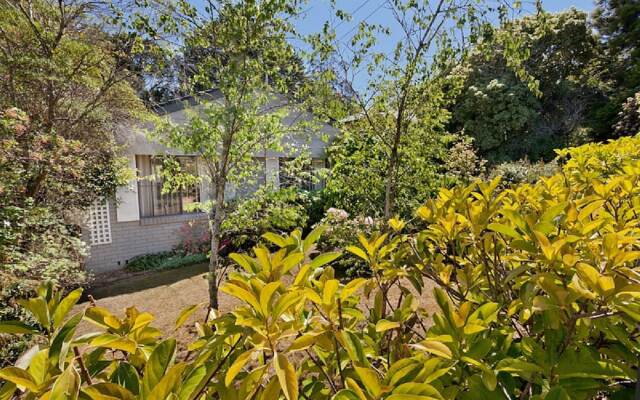 Leura Bungalow