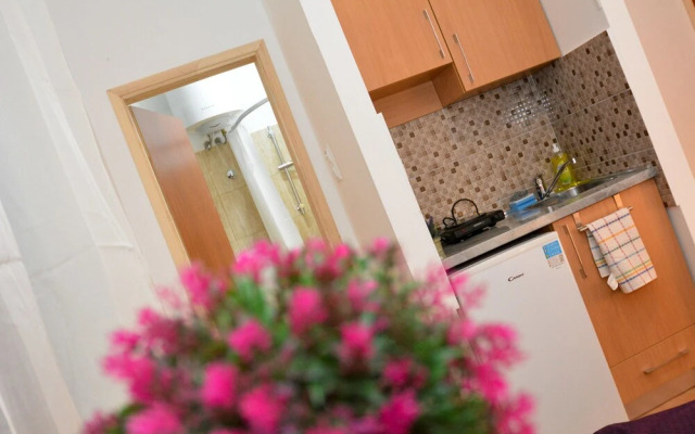Apartments Risan Center