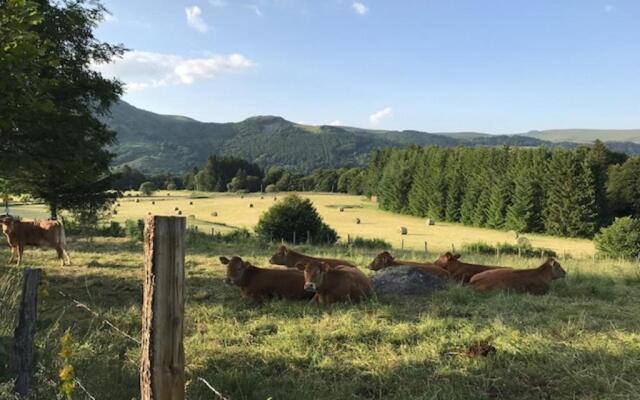 Appartement Mont-Dore, 2 pièces, 4 personnes - FR-1-608-112