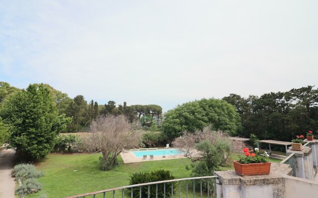 Executive Suite - Calais