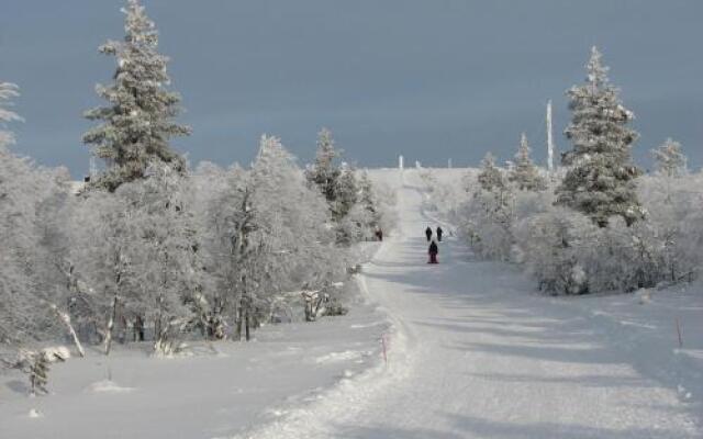 Saariselän Marjamajat
