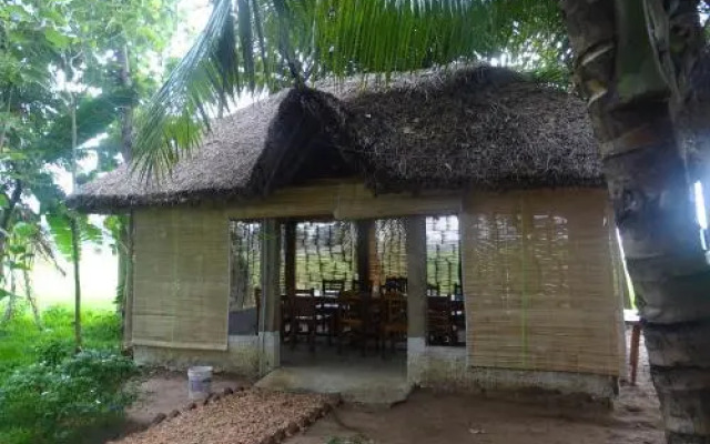 Paddy Homestay
