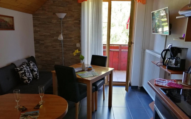 Haus Alexandra Apartment