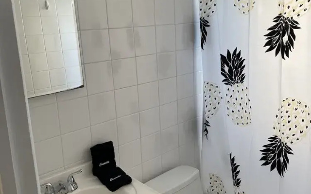 The Vic by Plenamar!