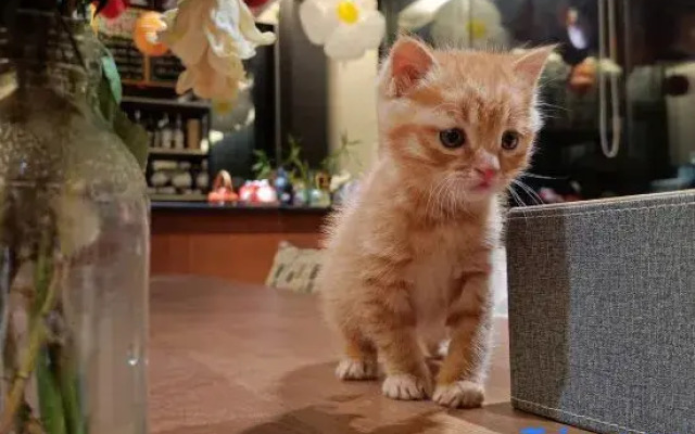 Yuyao Simingshan Yueli Homestay