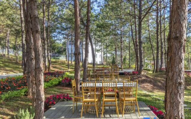 Kim Resort - Khu Nghĩ Dưỡng Rừng Lá Kim