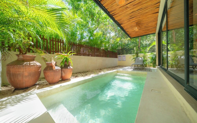 Cozy Apartment with Jungle View in Tulum