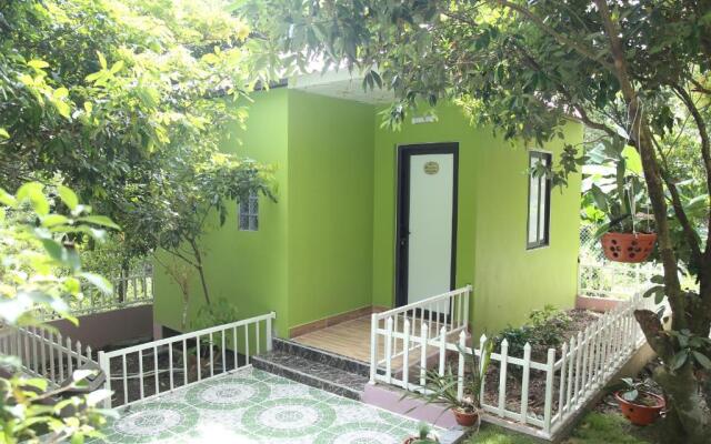 Windy Hill Catba Homestay
