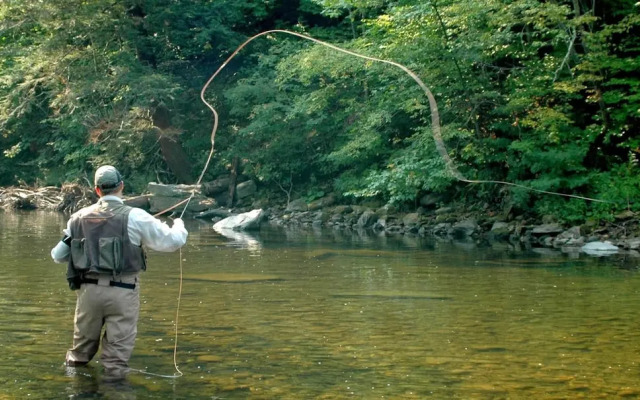 Very Secluded Breathtaking Riverfront Game Room