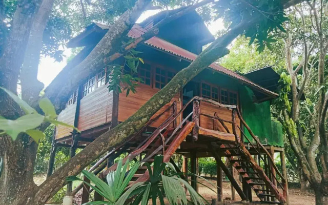 Finca Los Mangos