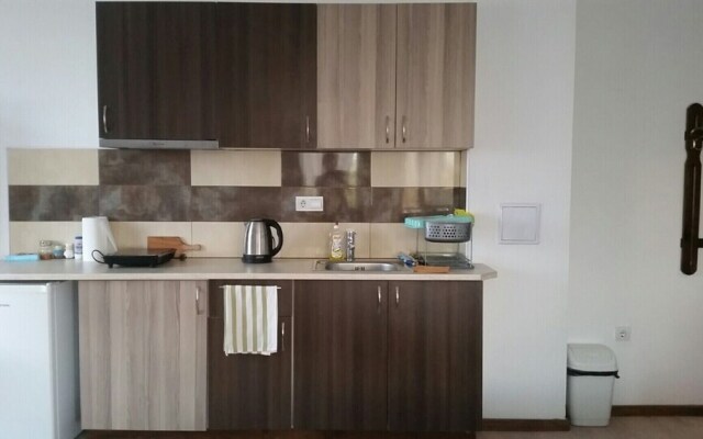 Immaculate Studio Apartment in Aleksandrovo