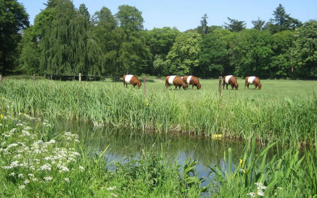Landgoedhotel Woodbrooke