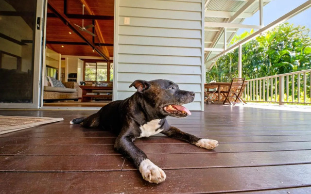 Serenity - Mudjimba - Pet Friendly Holiday Home